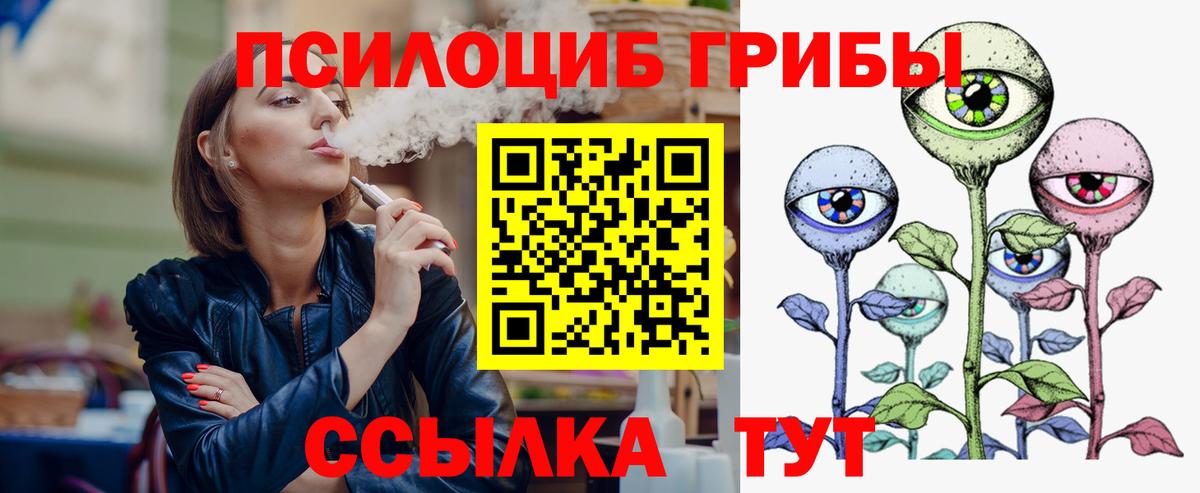 где купить наркотик  Псилоцибиновые грибы ЛСД  Вход с VPN  Кохма 