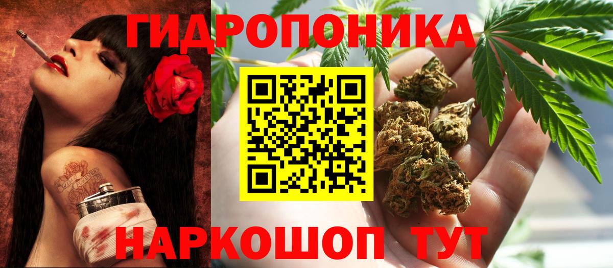 Шишки марихуана конопля Кохма